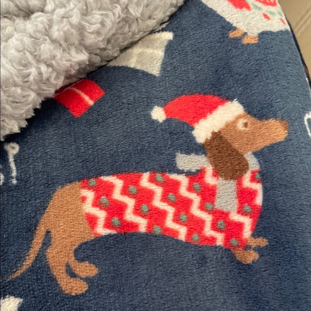Dachshund themed Berkshire Pet Collection Festive Blue Blanket - Picture 4 of 8
